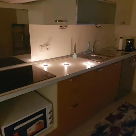 Gsur Apartment *